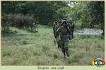 Sothiya Regiment