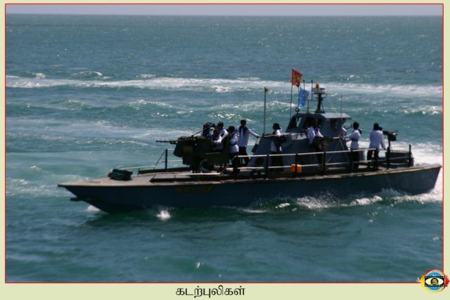 Sea Tigers
