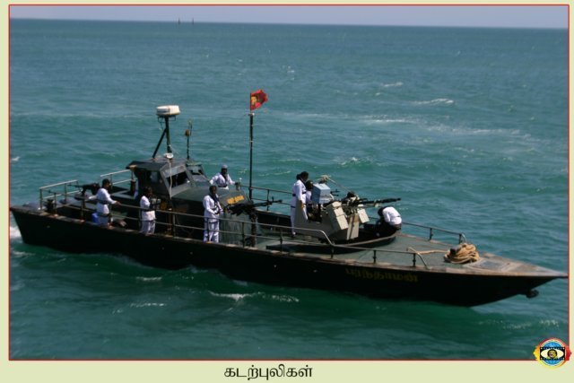 Sea Tigers
