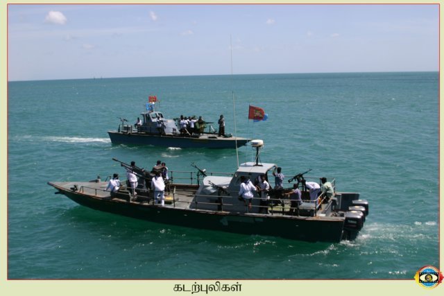 Sea Tigers